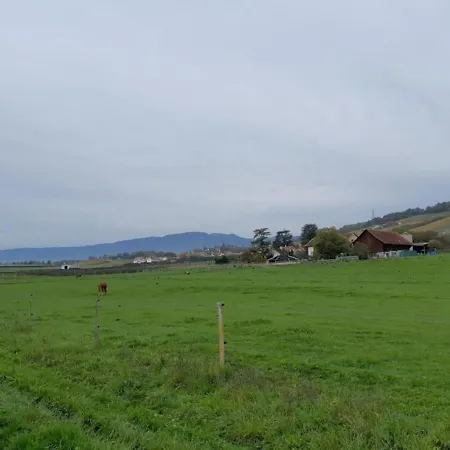 Im Bauerhof